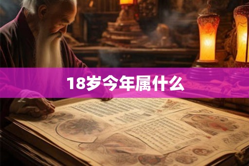 18岁今年属什么