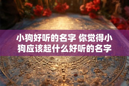 小狗好听的名字 你觉得小狗应该起什么好听的名字 小狗好听的名字 你觉得小狗应该起什么好听的名字