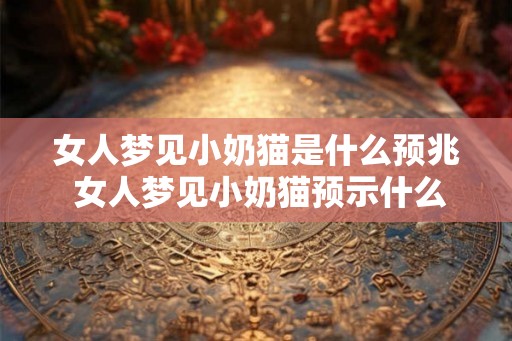 女人梦见小奶猫是什么预兆 女人梦见小奶猫预示什么 女人梦见小奶猫是什么预兆 女人梦见小奶猫预示什么