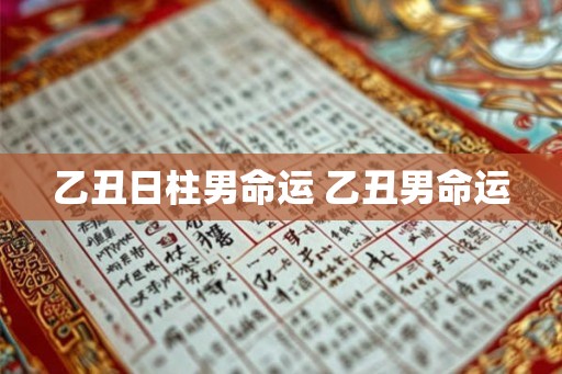 乙丑日柱男命运 乙丑男命运