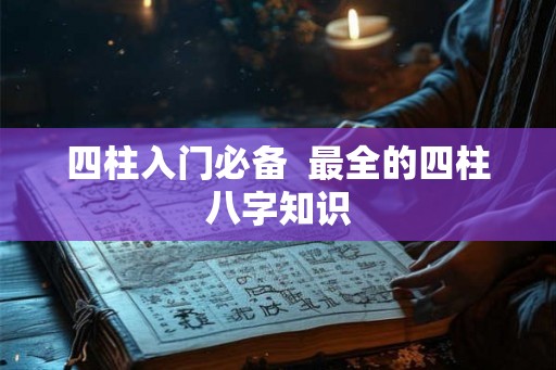 四柱入门必备  最全的四柱八字知识