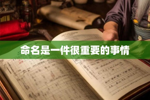 命名是一件很重要的事情