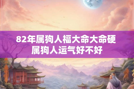 82年属狗人福大命大命硬 属狗人运气好不好