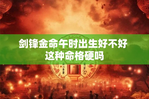 剑锋金命午时出生好不好 这种命格硬吗
