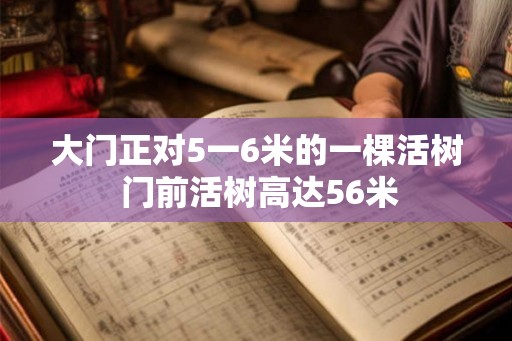 大门正对5一6米的一棵活树 门前活树高达56米