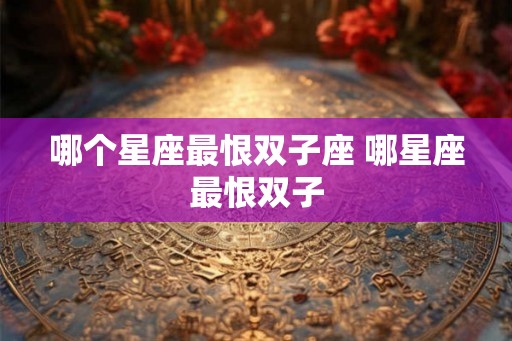 哪个星座最恨双子座 哪星座最恨双子