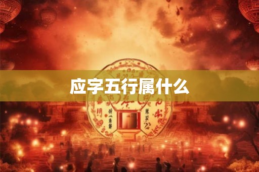 应字五行属什么