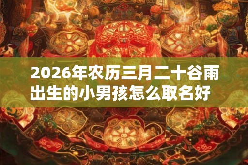 2026年农历三月二十谷雨出生的小男孩怎么取名好  男孩名字大全集