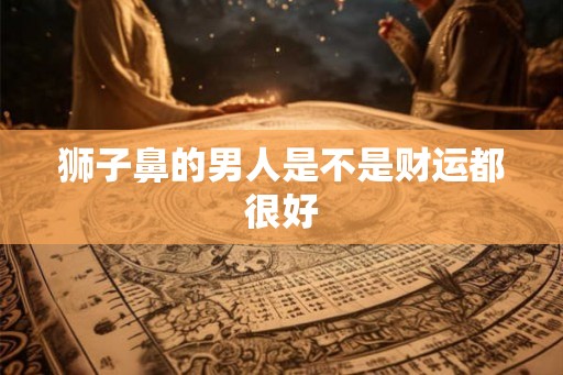 狮子鼻的男人是不是财运都很好