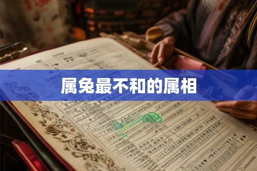 属兔最不和的属相