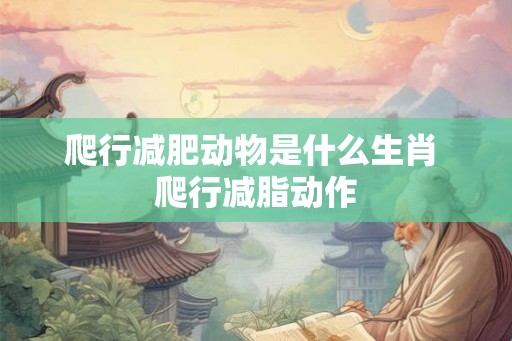 爬行减肥动物是什么生肖 爬行减脂动作