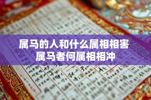 属马的人和什么属相相害 属马者何属相相冲