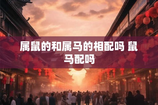 属鼠的和属马的相配吗 鼠马配吗