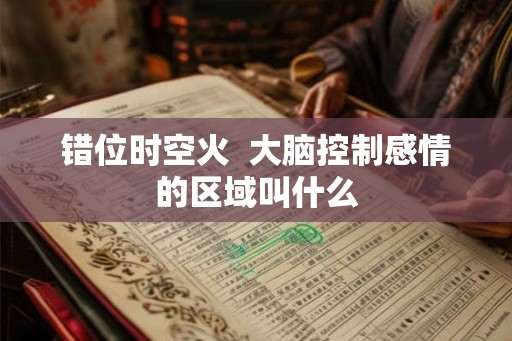 错位时空火  大脑控制感情的区域叫什么