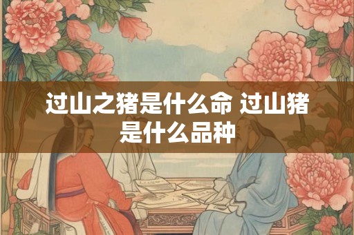 过山之猪是什么命 过山猪是什么品种 过山之猪是什么命 过山猪是什么品种