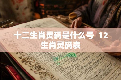 十二生肖灵码是什么号  12生肖灵码表
