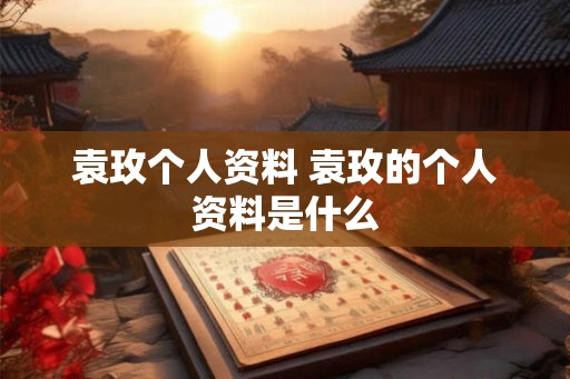 袁玫个人资料 袁玫的个人资料是什么