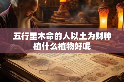 五行里木命的人以土为财种植什么植物好呢