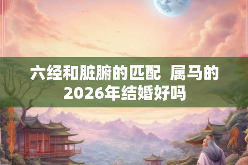 六经和脏腑的匹配  属马的2026年结婚好吗
