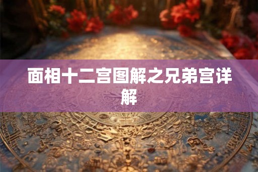 面相十二宫图解之兄弟宫详解