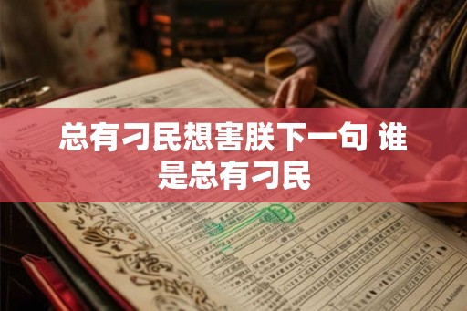 总有刁民想害朕下一句 谁是总有刁民