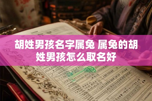 胡姓男孩名字属兔 属兔的胡姓男孩怎么取名好 胡姓男孩名字属兔 属兔的胡姓男孩怎么取名好