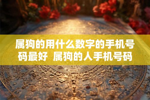 属狗的用什么数字的手机号码最好  属狗的人手机号码哪几位数好
