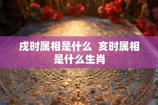 戌时属相是什么 亥时属相是什么生肖 戌时属相是什么 亥时属相是什么生肖