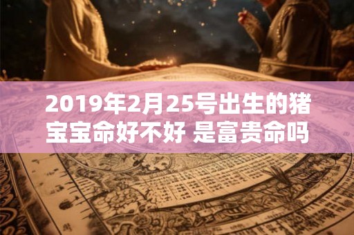 2019年2月25号出生的猪宝宝命好不好 是富贵命吗