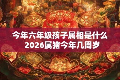 今年六年级孩子属相是什么  2026属猪今年几周岁
