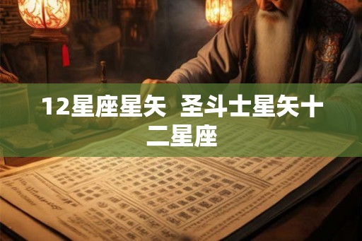 12星座星矢  圣斗士星矢十二星座