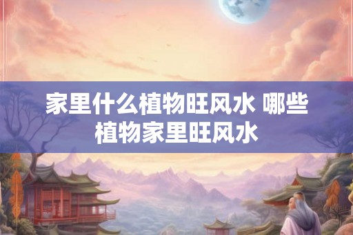 家里什么植物旺风水 哪些植物家里旺风水