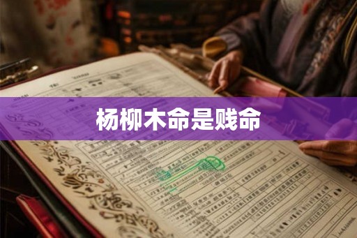 杨柳木命是贱命