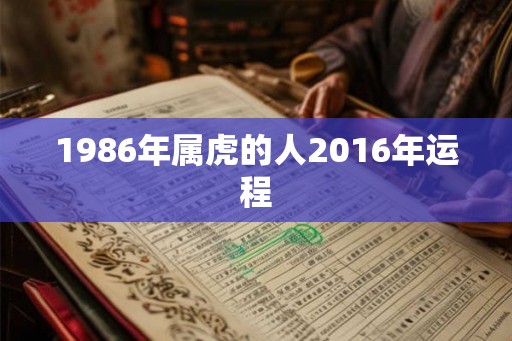 1986年属虎的人2016年运程