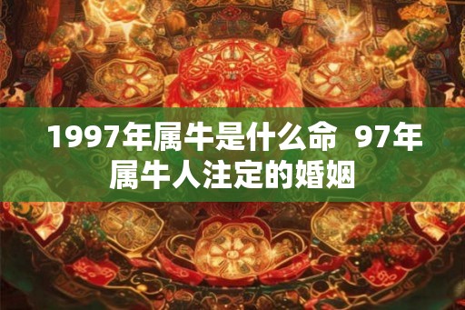 1997年属牛是什么命  97年属牛人注定的婚姻