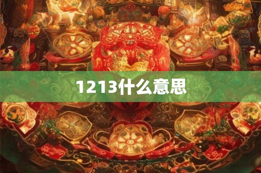 1213什么意思