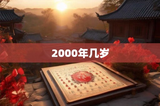 2000年几岁