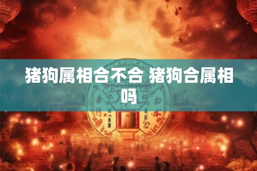 猪狗属相合不合 猪狗合属相吗
