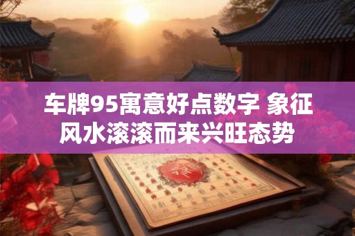 车牌95寓意好点数字 象征风水滚滚而来兴旺态势