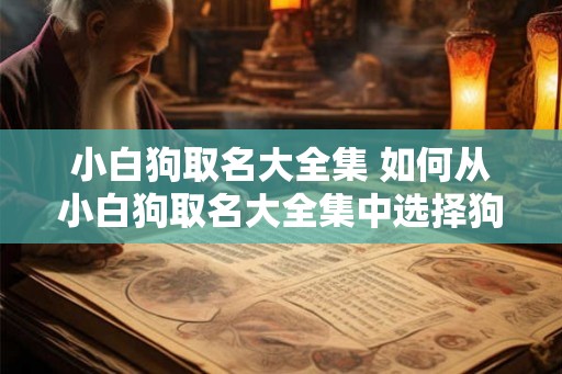 小白狗取名大全集 如何从小白狗取名大全集中选择狗名