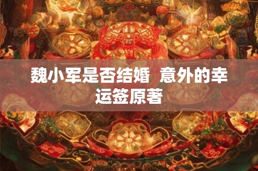 魏小军是否结婚  意外的幸运签原著