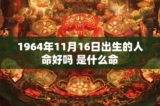 1964年11月16日出生的人命好吗 是什么命