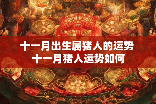 十一月出生属猪人的运势 十一月猪人运势如何