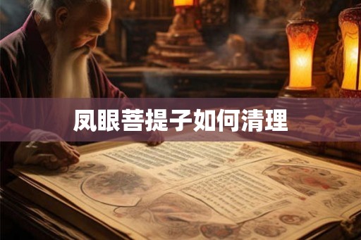 凤眼菩提子如何清理