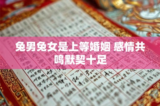 兔男兔女是上等婚姻 感情共鸣默契十足