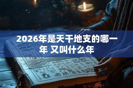 2026年是天干地支的哪一年 又叫什么年