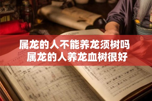 属龙的人不能养龙须树吗  属龙的人养龙血树很好