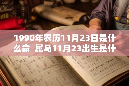 1990年农历11月23日是什么命  属马11月23出生是什么命