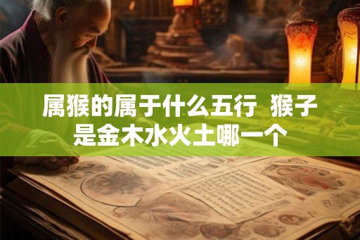 属猴的属于什么五行  猴子是金木水火土哪一个