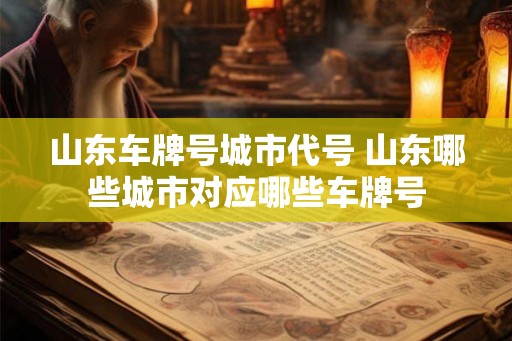 山东车牌号城市代号 山东哪些城市对应哪些车牌号 山东车牌号城市代号 山东哪些城市对应哪些车牌号